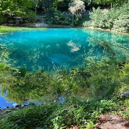 Alblounge Vip Lejlighed