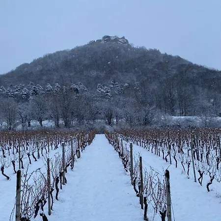 Alblounge Vip Lejlighed Neuffen