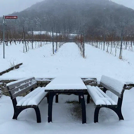 Alblounge Vip * Neuffen