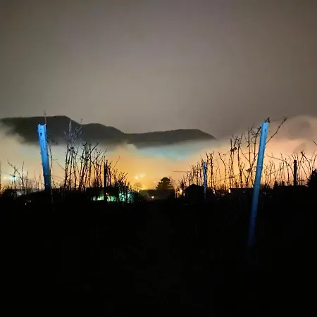 Alblounge Vip Lejlighed