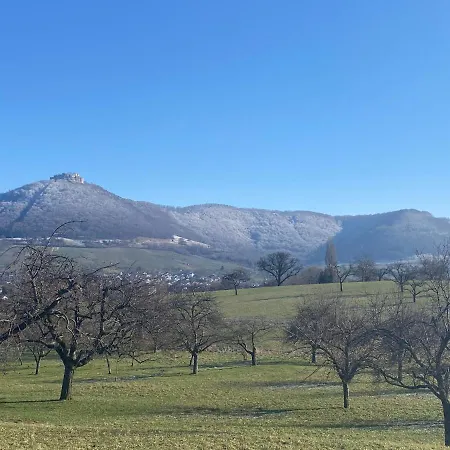 Alblounge Vip Lejlighed